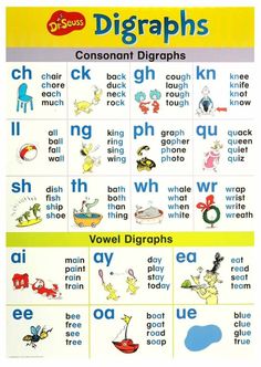 a poster with words and pictures for different types of digrass in english or spanish