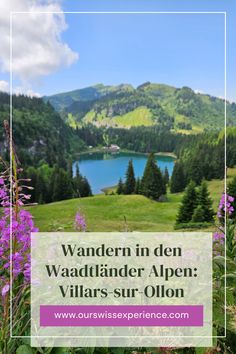 Wandern in den Waadtländer Alpen: Villars-sur-Ollon - Unsere Schweizer Erlebnisse Hiking Destinations, Hiking Tips