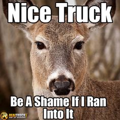 a deer with the caption nice truck be a shame if i ran into it