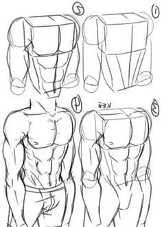 how to draw the torso and upper half of a man's body in 3 easy steps