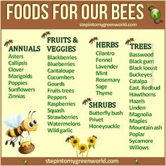 a poster with words and pictures on it that describe the different foods for our bees