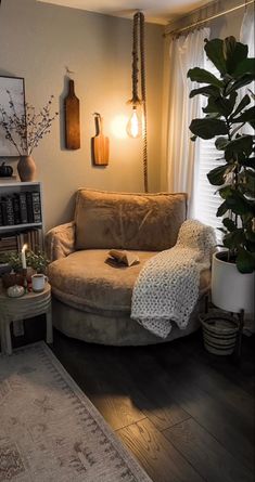 a living room filled with furniture and a large potted plant on top of a table