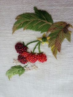 two red berries and green leaves on a white cloth