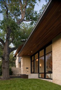 an exterior view of a modern home with large windows and grass in the front yard