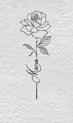 a drawing of a rose with the word love written in cursive writing on it