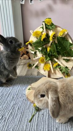 two rabbits sitting next to each other in front of a table with flowers on it