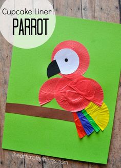 a paper plate parrot sitting on top of a green piece of paper with the words cupcake liner parrot