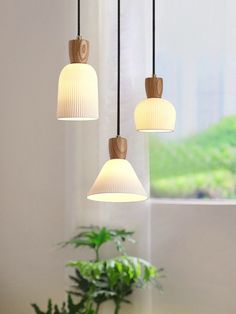 three lights hanging from a ceiling in a room with plants and potted plant on the side