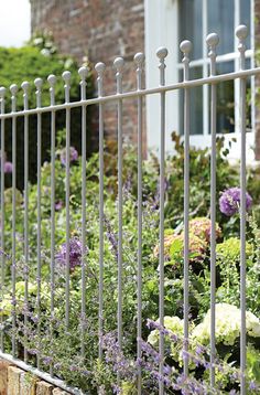 a bunch of flowers that are behind a fence