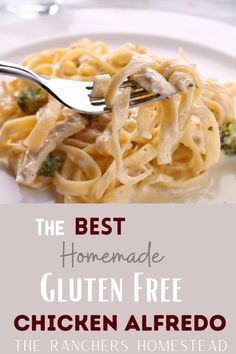 the best homemade gluten free chicken alfredo recipe