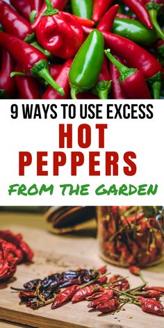 red peppers and green peppers with the title 9 ways to use excess hot peppers from the garden