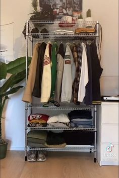 an organized closet with clothes and shoes on shelves in front of a potted plant