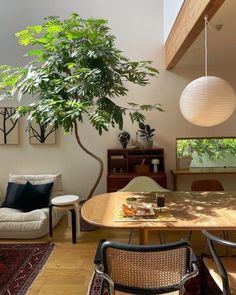 a living room filled with furniture and a tree in the middle of it's center