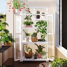 a white shelf filled with potted plants on top of a wooden floor