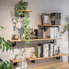 three wooden shelves with books and plants on them in front of a wall mounted planter