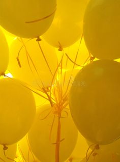 many yellow balloons are floating in the air