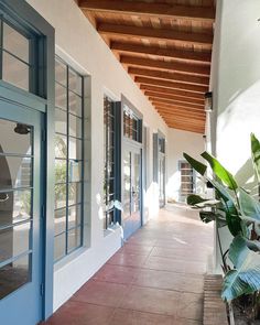 an empty hallway with blue doors and windows