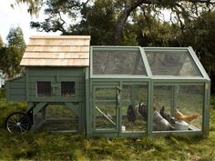 three chickens in a small green coop on the grass