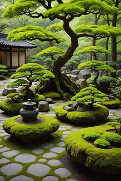 Niwaki Garden, Elongated Man, China Garden, Diy Garden Fountains, Japan Garden