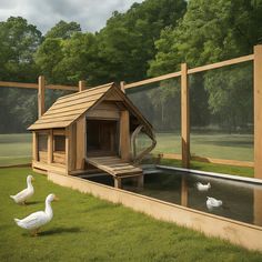 two ducks are walking around in front of a dog house with a water trough and ducklings