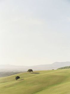 an open field with trees and hills in the background