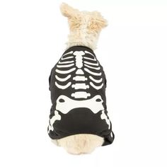 a dog wearing a skeleton shirt on it's back, looking up at the sky