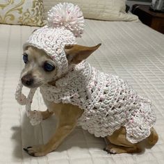 a small dog wearing a crocheted sweater and hat on top of a bed