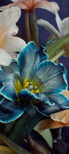 an arrangement of flowers with blue and orange petals in a vase on a table top