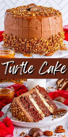 a chocolate cake with nuts on top and the words turtle cake above it in front