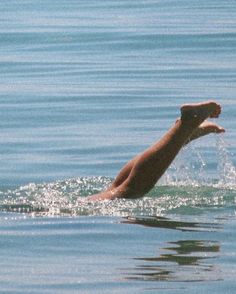 a person is swimming in the water with their legs spread out to catch a frisbee