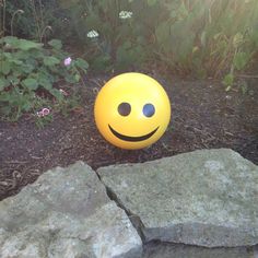 a smiley face ball sitting on the ground next to some rocks and flowers in the background