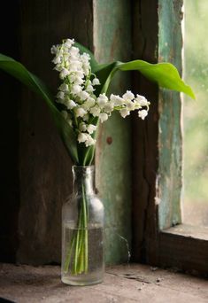 a glass vase with flowers in it sitting on a window sill next to an open window