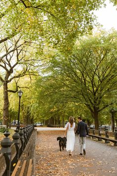 a bride and groom walking their dog in the park on a fall day with leaves covering the ground