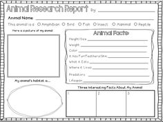 the animal research report is shown in black and white