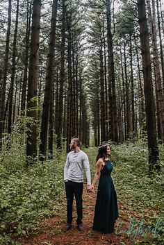 a man and woman holding hands walking through the woods in front of tall pine trees