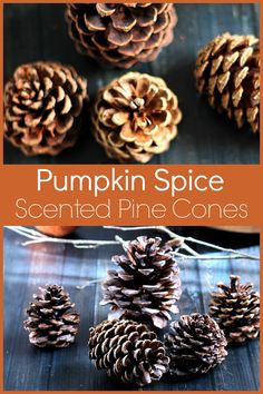 pumpkin spice scented pine cones with text overlay that reads, pumpkin spice scented pine cones