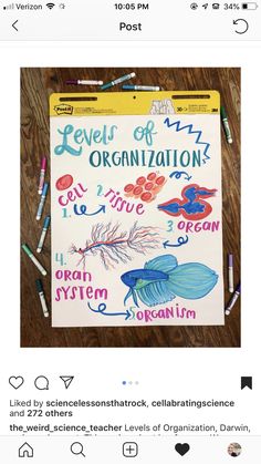 a poster with the words levels of organization written on it and some crayons