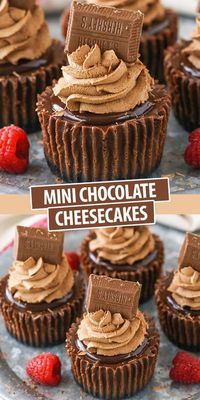 chocolate cupcakes with peanut butter frosting and raspberries on the side