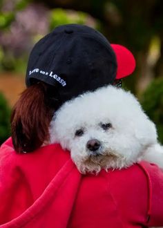 a white dog wearing a black hat on top of it's head while being held by a woman