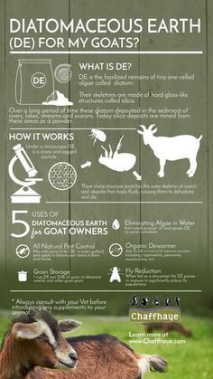 an info poster with goats and other animals on it