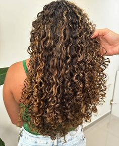 Caramel Highlights On Brown Hair Curly Hair, Partial Highlight Curly Hair, Brown With Caramel Highlights Curly Hair, Gold Highlights Curly Hair, Honey Highlights On Brown Hair Curly, Curly Hair With Honey Highlights, Golden Highlights Curly Hair, Butterscotch Highlights On Curly Hair