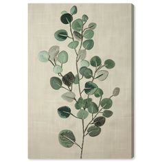 a green plant with leaves on a white background canvas wall art print, ready to hang