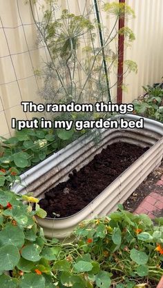 a garden bed filled with lots of dirt