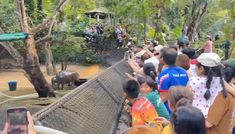 many people are watching elephants in an enclosure