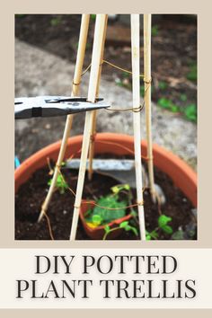 a potted plant with the words diy potted plant trelliss