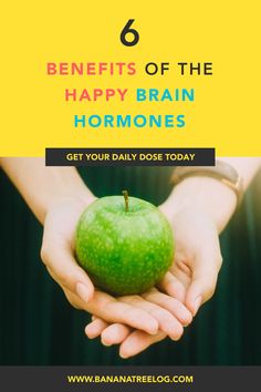 Did you know the happy brain hormones do more than just make you happy? Here are 6 benefits that can improve your physical health, relationships, and overall lifestyle. #benefitsofhappiness #happybrainhormones Brain Hormones, Happy Chemicals In Brain, Happy Brain, Health Relationships