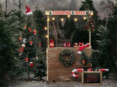 a christmas tree stand with lights and decorations on it's sides, surrounded by trees