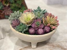 a bowl filled with lots of succulents on top of a white table