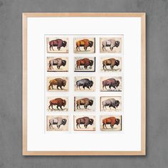 an art print with different colored buffalos on it's sides in a wooden frame