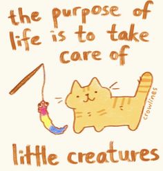 a drawing of a cat with a fish in it's mouth and the words, the purpose of life is to take care of little creatures